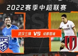 武汉三镇vs成都蓉城