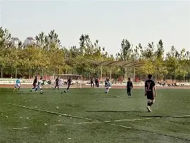 足球控球的基本技术有哪些?请简述它们的动作要领