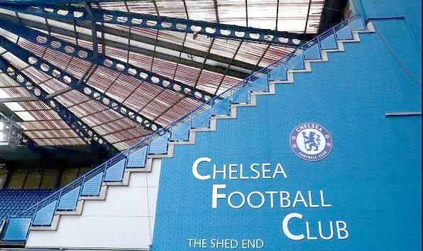 切尔西70诺维奇