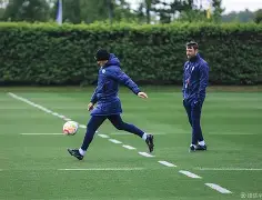 开元棋牌官方网站-捷克国脚成功转会英超球队寻求突破视频