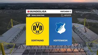 多特蒙德对霍芬海姆预测