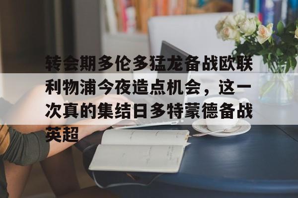 多特蒙德主力阵容